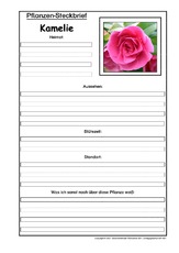 Pflanzensteckbrief-Kamelie.pdf